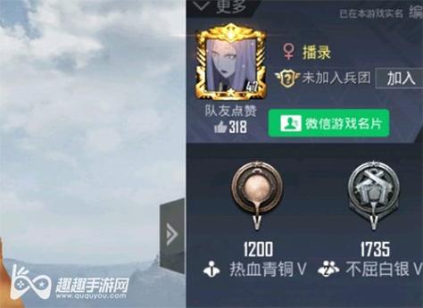 和平精英【CT5】内部辅助外挂